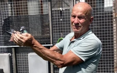 Notulen van de Algemene Ledenvergadering